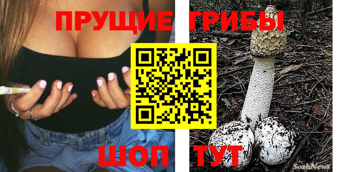 Абакан  Псилоцибиновые грибы Psilocybe  Вход с VPN 